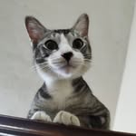 Tan Kin Wei - @kinwei_1126 - Instagram