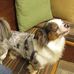 Kindra Walker - Facebook
