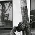 King Ayoola - Facebook