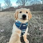 Jake - @_king_block - Instagram