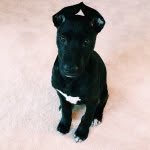 Brooks Johnson - @king__brooks - Instagram