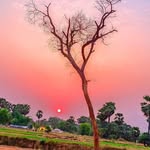 gaon - @king_laukariya_gaon_ - Instagram