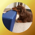 Kickboxing　Toyama Himi - @kingleo_toyama - Instagram
