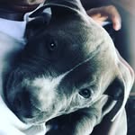 King_morris - @king_morris35 - Instagram