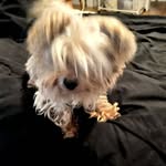 king Morris - @morris55625 - Instagram