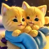 Kìng 👑 - @kng3880 - TikTok