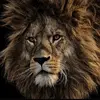 King Simmons - @king.simmons - TikTok
