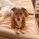 Kinga Bednarczyk - @kinga_bednarczyk - Instagram