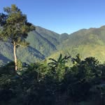 Kingsley Bernard - @labellecoffeeja - Instagram