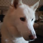 Ryan Kingsley - @ryan.kingsley.16 - Instagram
