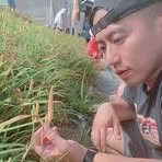 Kingston Chan - Facebook