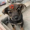 Rau muống luộc 🥬 - @kinhdam123 - TikTok