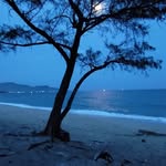 Kinh Lưu - @luukinhdinh1 - Instagram