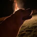 Kinley Bishop - @_kinley_6807 - Instagram