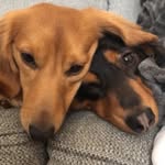 McKinley & Jackson - @mckinleyandjackson - Instagram