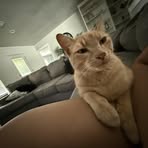 Kinley Perkins - Facebook