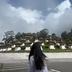 KinLey WangMo - @yalbabykinley - Instagram