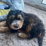 kiona - @kiona_bailey - Instagram