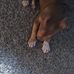 Keyonnia Williams - Facebook
