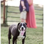 Kip Castor - @kip.castor - Instagram