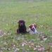 Kip Dunlap - Facebook