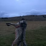 Kip Erickson - @kip_erickson - Instagram