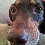Skip - @skipgraham - Instagram