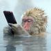 Kip Hansen - Facebook