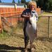 Kip Hansen - Facebook