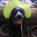 Kip Jacobs - Facebook