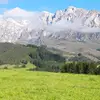 koekmetboter3088 - @kemperkip3089956 - TikTok