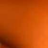 Lol - @kippenkriegerinja - TikTok
