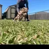 Kip Leblanc - @louisiana_state_bullys - TikTok