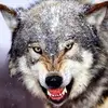 Kip Murray229 - @kip.murray - TikTok