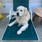Kip Murray - @kipmurray61 - Instagram