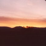 Skip Murray - @skipmurray42 - Instagram