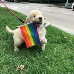 Kyle Peterson - @kip_peterson_ - Instagram