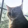 Kipton Shoemaker - @kipton.shoemaker - TikTok