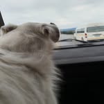 Kip Frank Smith - @kipsmith25 - Instagram