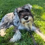 Kip Smith - @meothen - Instagram