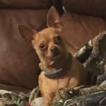 Kip Smith - @kip_unhinged - Instagram
