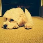 Kipper Boobalini Robinson - @kipper_robinson - Instagram