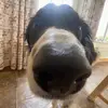 Kira - @kira_barry - TikTok