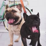 Baxter_kira_french - @baxter_kira - Instagram