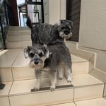 Kira & Baxter Kokt - @kirabaxter3 - Instagram