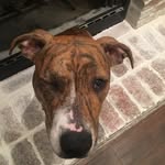 KiraBell - @kira_bell_gast - Instagram