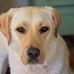 Kira Biddle - Facebook