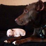 Bruce & Kira - @kiraebruce - Instagram