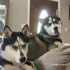 Kira & Floyd - @kira.floyd7 - TikTok