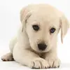 Kira Floyd827 - @kiirrraaaa1234 - TikTok